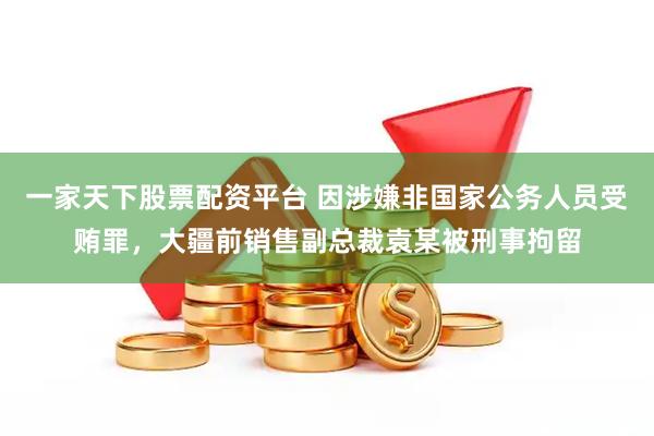 一家天下股票配资平台 因涉嫌非国家公务人员受贿罪，大疆前销售副总裁袁某被刑事拘留